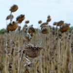 Changement climatique (Partie 1)